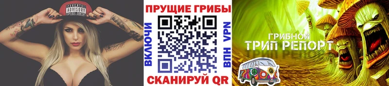 mega   Балашов  Галлюциногенные грибы GOLDEN TEACHER 