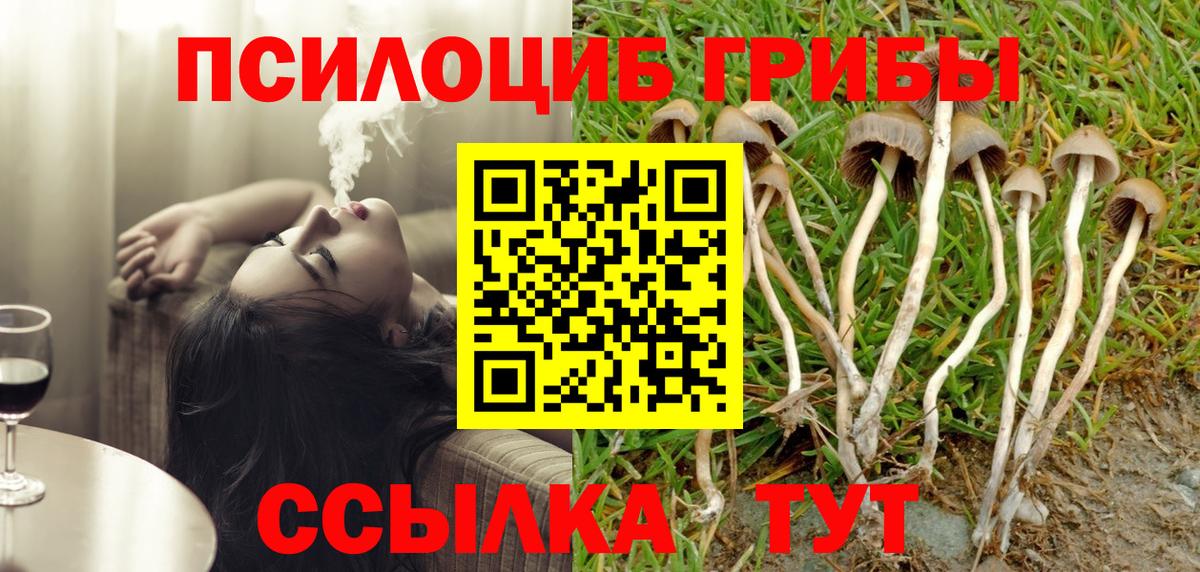 Галлюциногенные грибы Cubensis  Балашов 