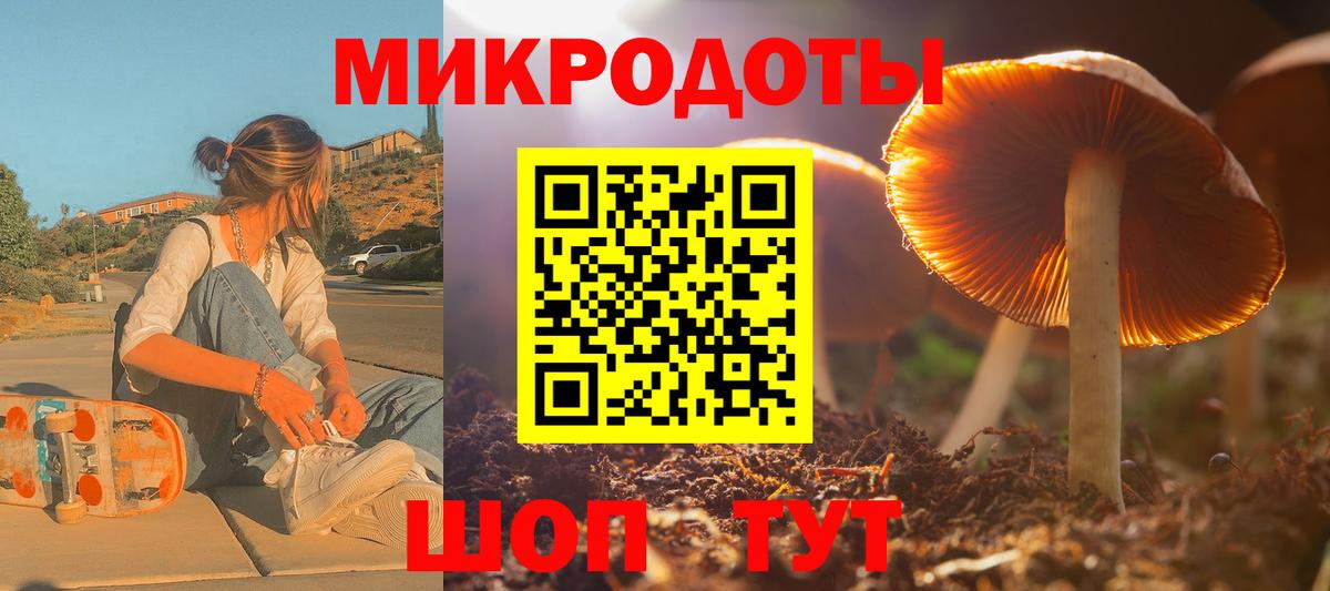 Балашов  Псилоцибиновые грибы мицелий  Вход с VPN 